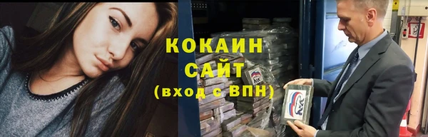 бошки Белокуриха