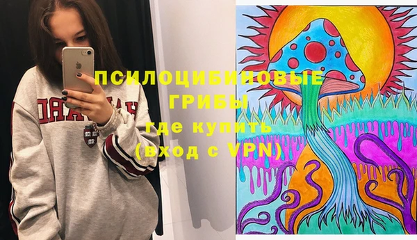 бошки Белокуриха